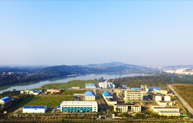 湖南有色郴州氟化學招標采購平臺解決方案